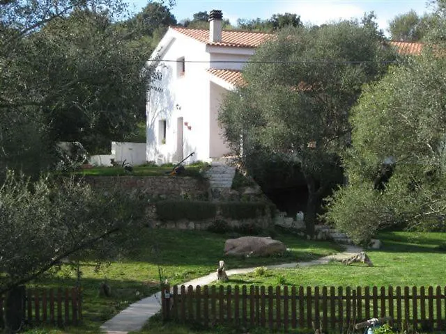 Casa vacanze Maravilla Loiri Porto San Paolo