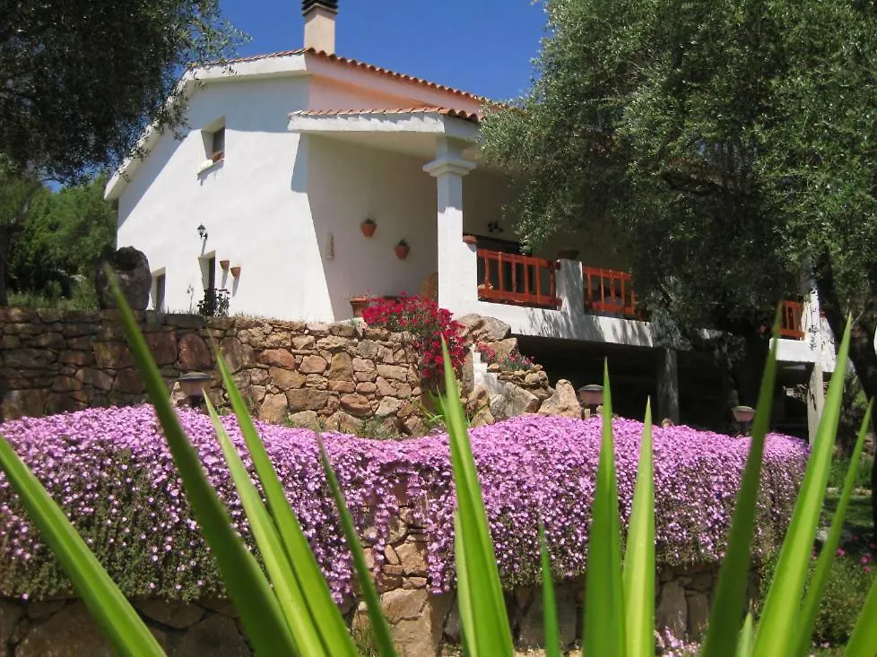 Maravilla Loiri Porto San Paolo